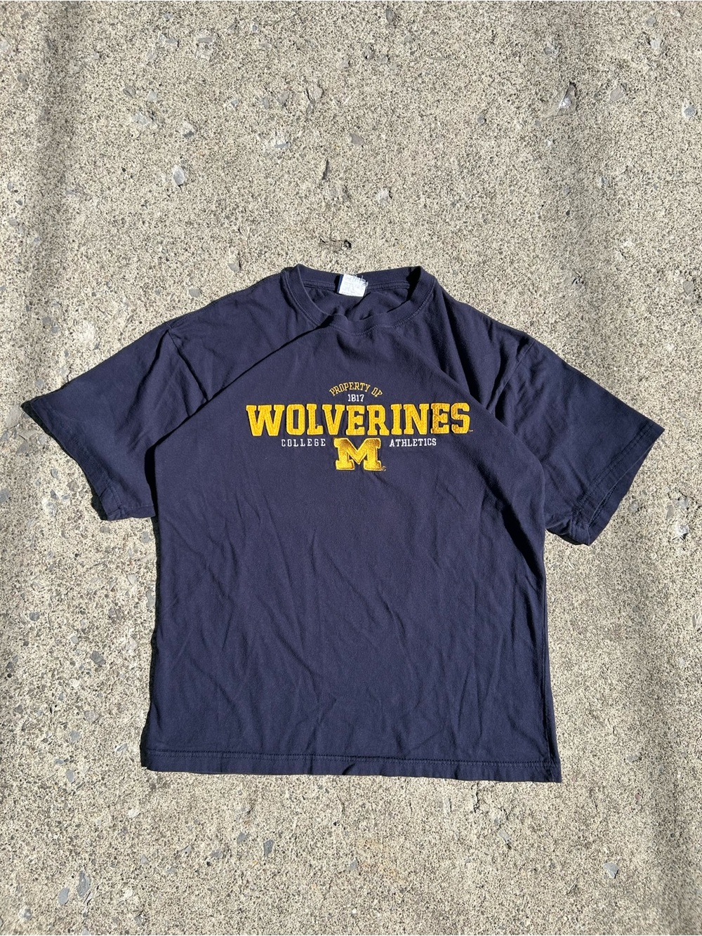 Vintage Wolverines Navy Crewneck Graphic T-Shirt